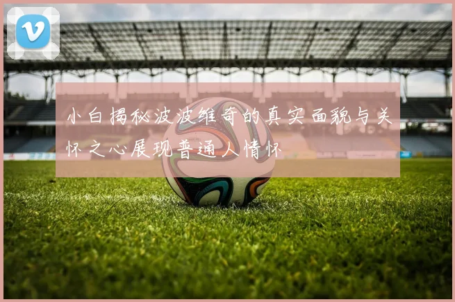 小白揭秘波波维奇的真实面貌与关怀之心展现普通人情怀
